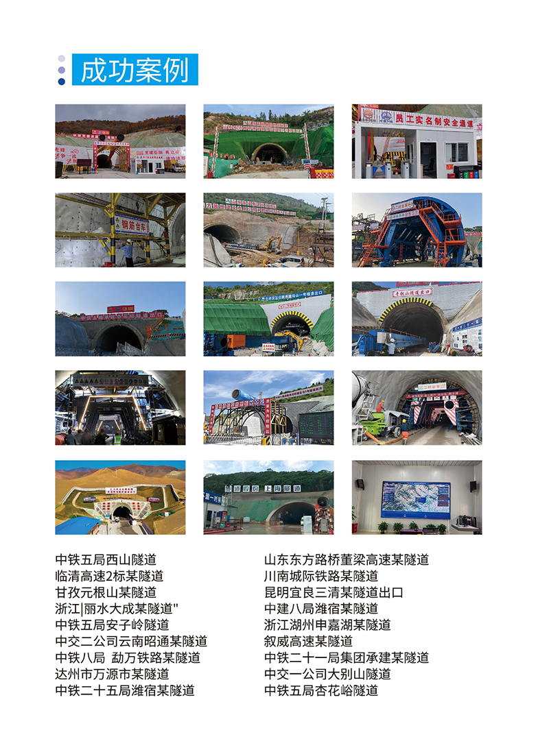 成功案例